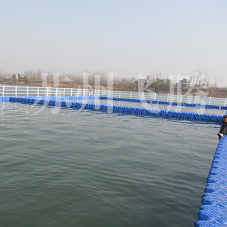 安庆长江江豚养殖基地